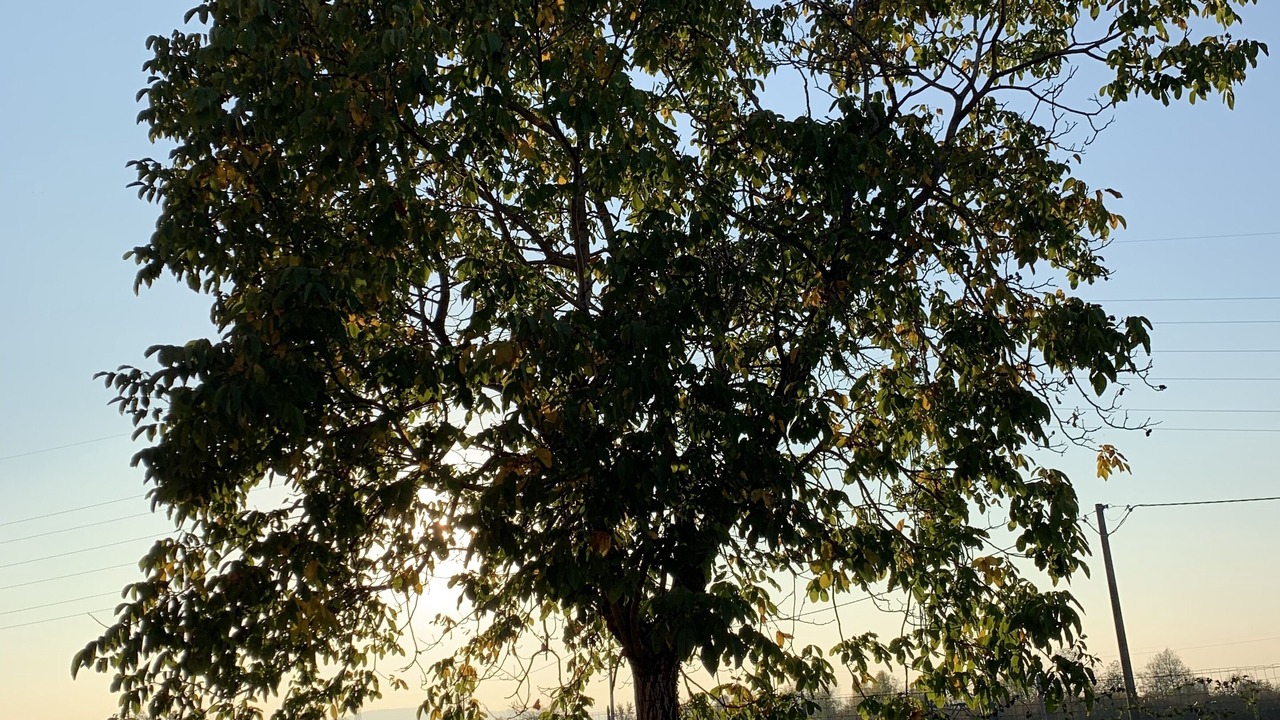 Photo of Outdoor in Sassuolo