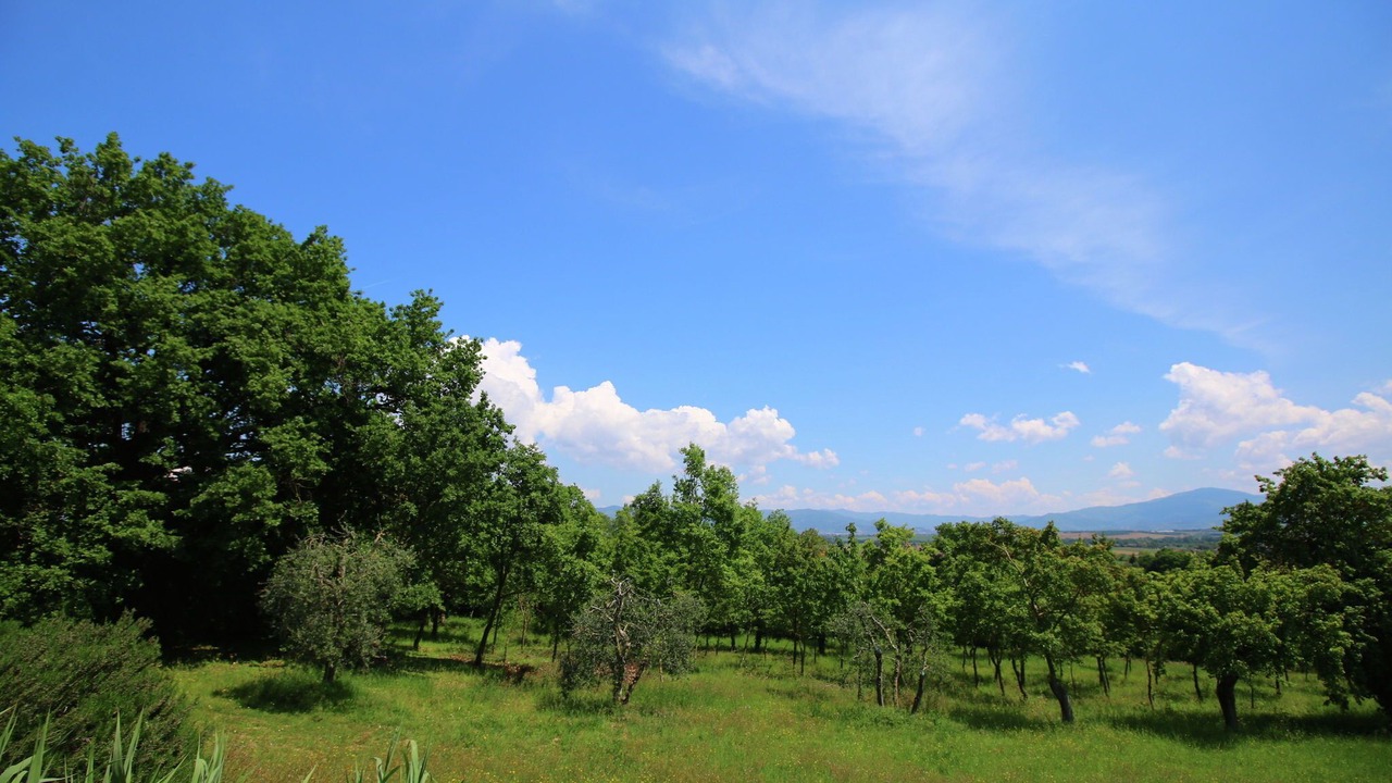Photo of Others in Marciano della Chiana
