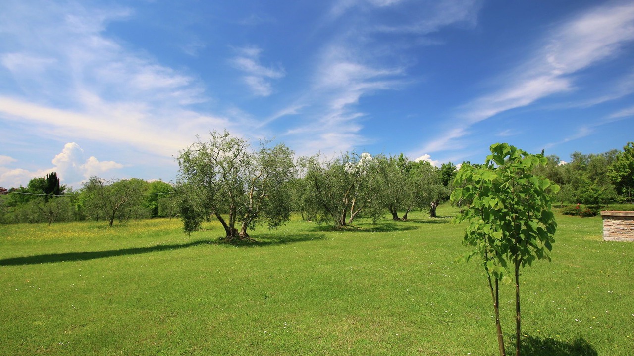 Photo of Others in Marciano della Chiana