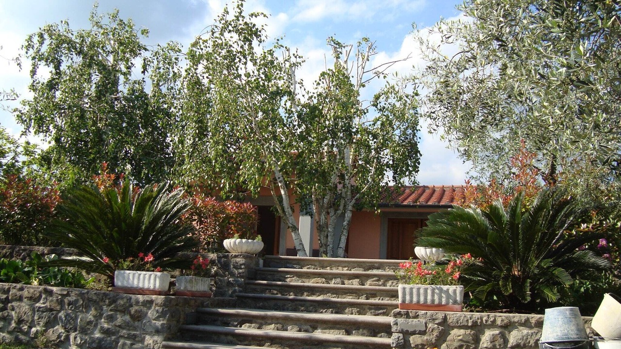 Photo of Outdoor in Pistoia
