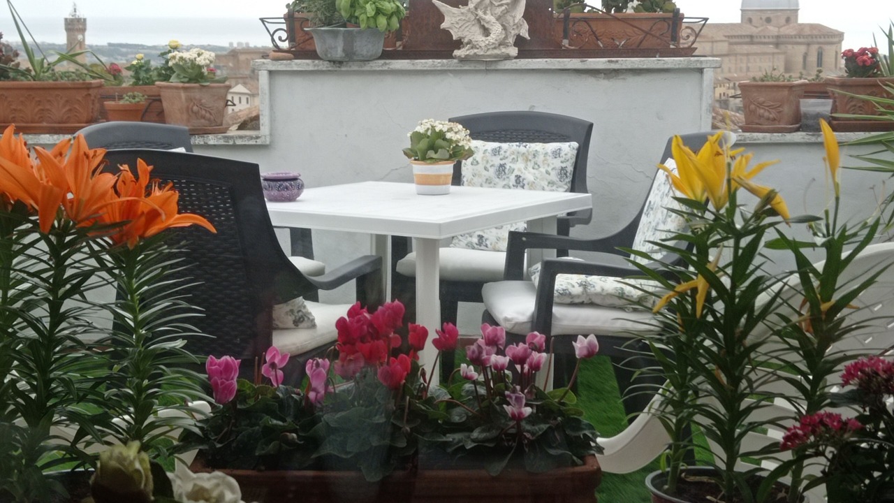 Photo of Outdoor in Loreto