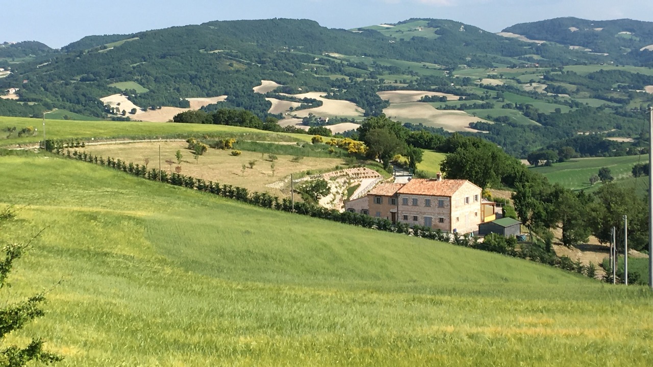 Photo of Others in Fossombrone