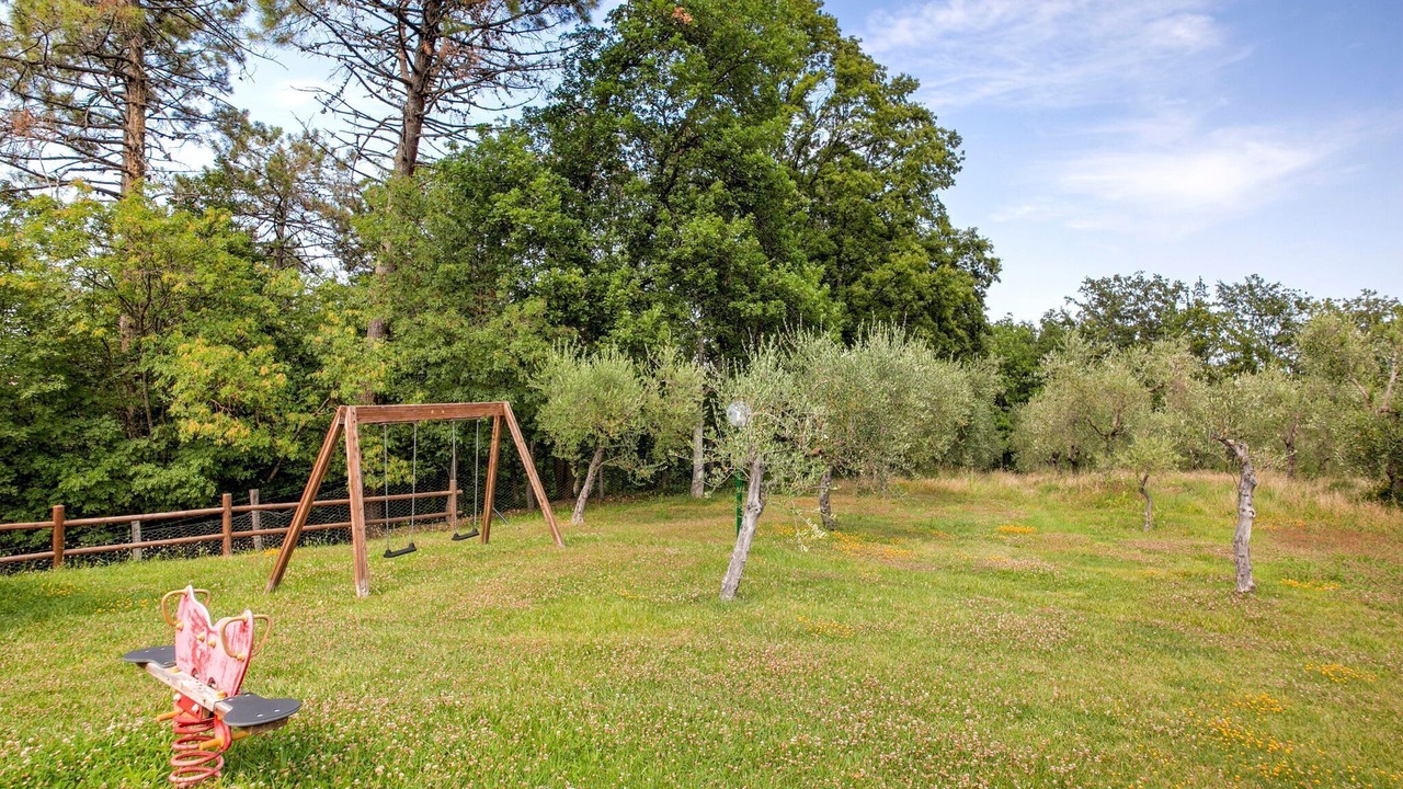 Photo of Outdoor in Terricciola
