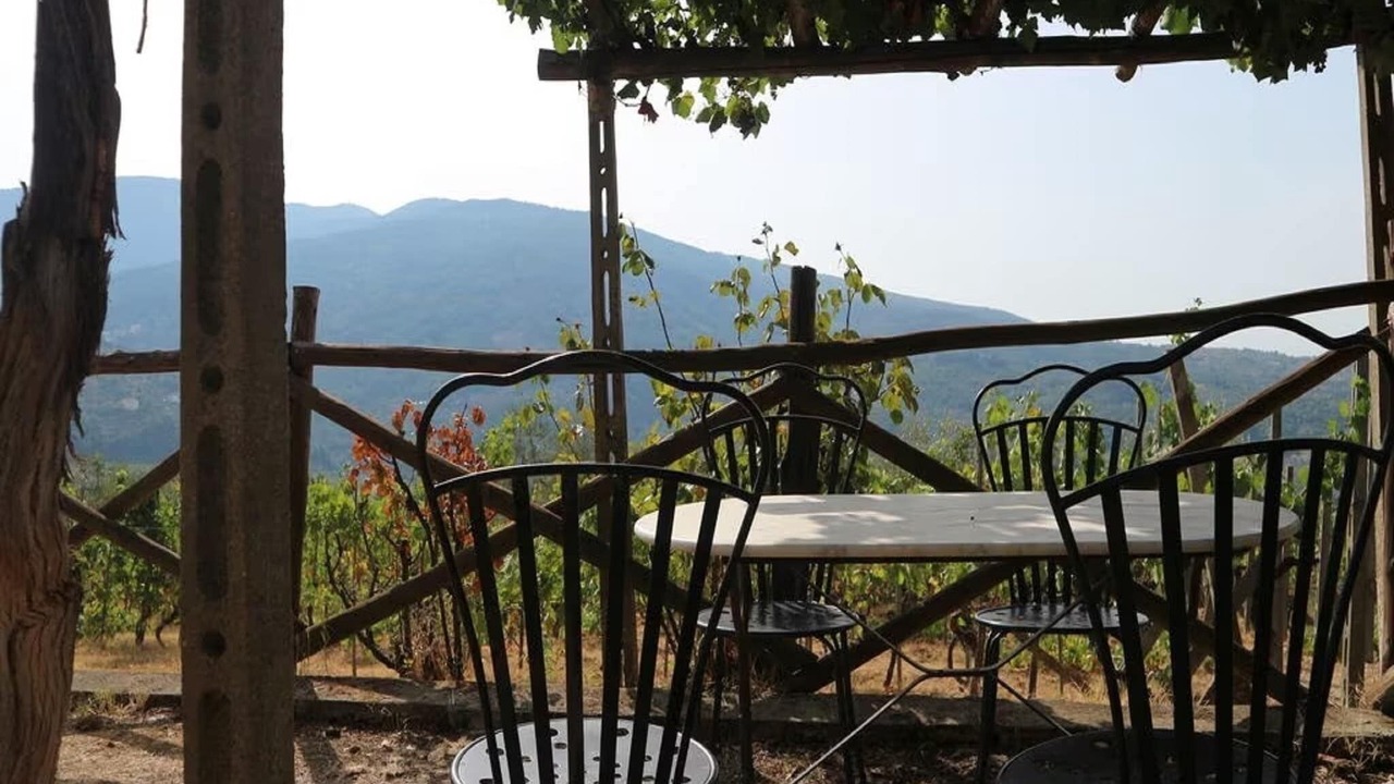 Photo of Outdoor in Pelago