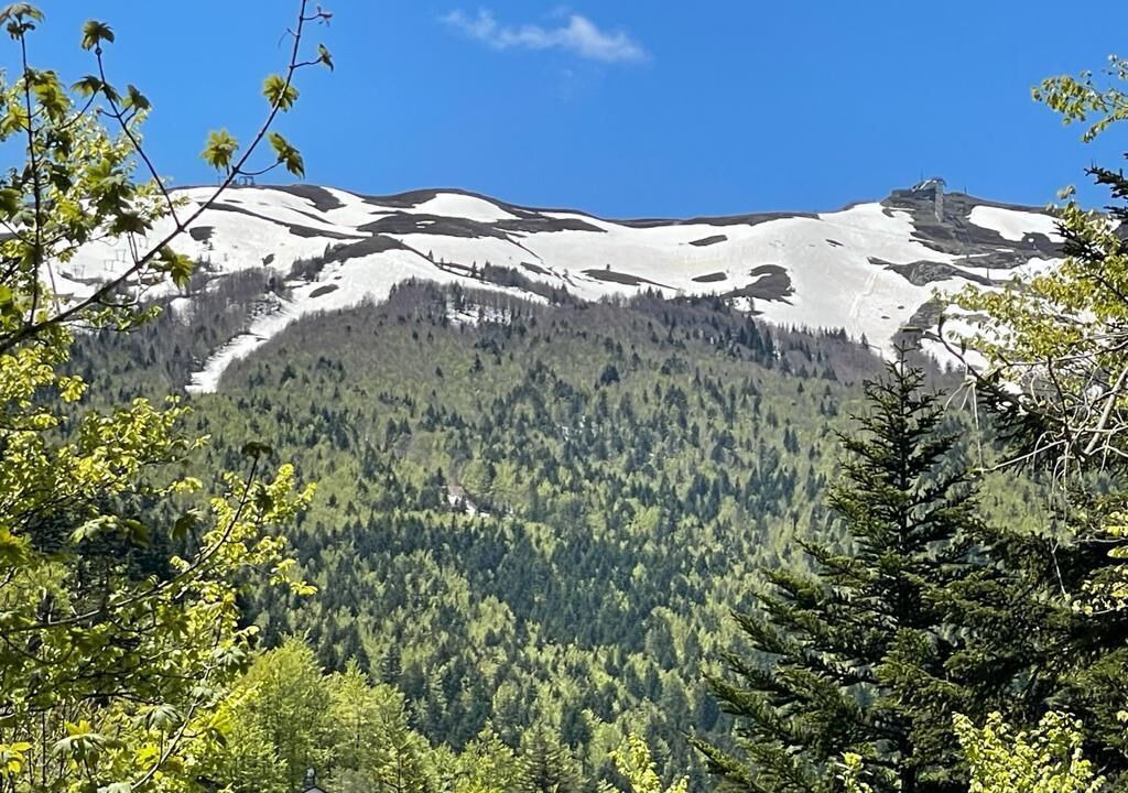 Photo of Outdoor in Abetone Cutigliano