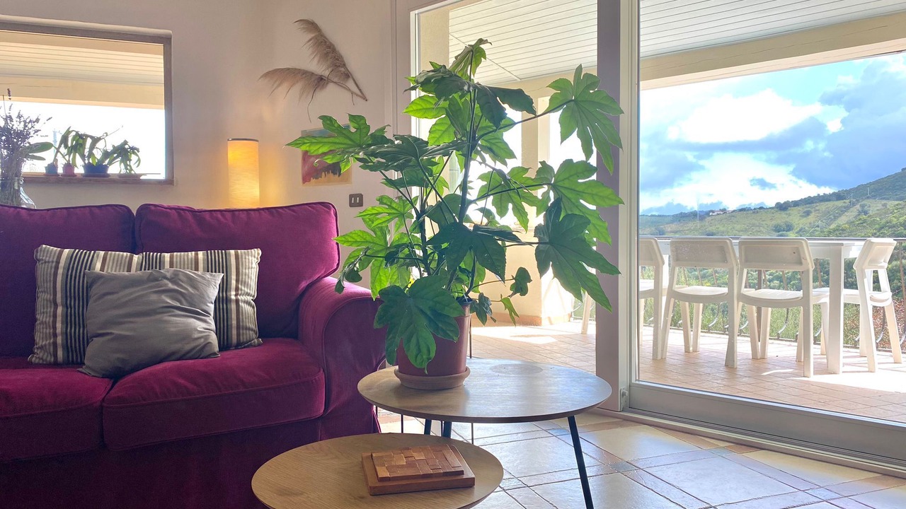 Photo of Livingroom in Strugas