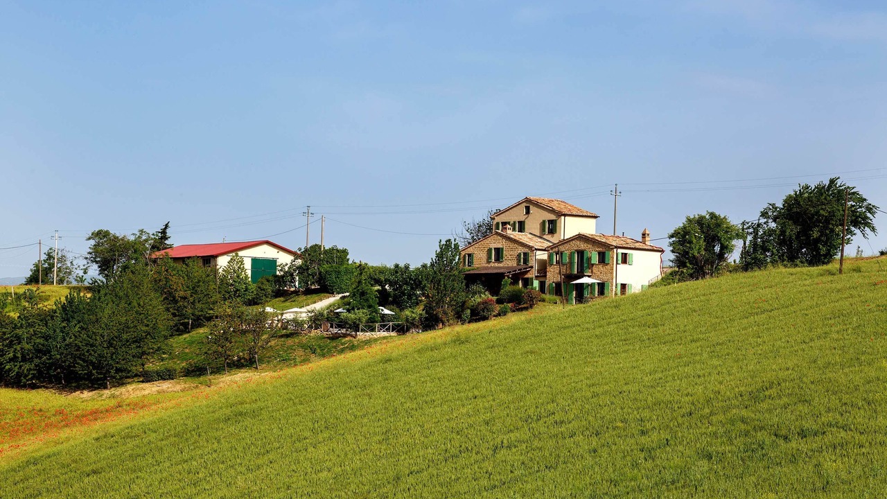 Photo of Others in Monte San Martino