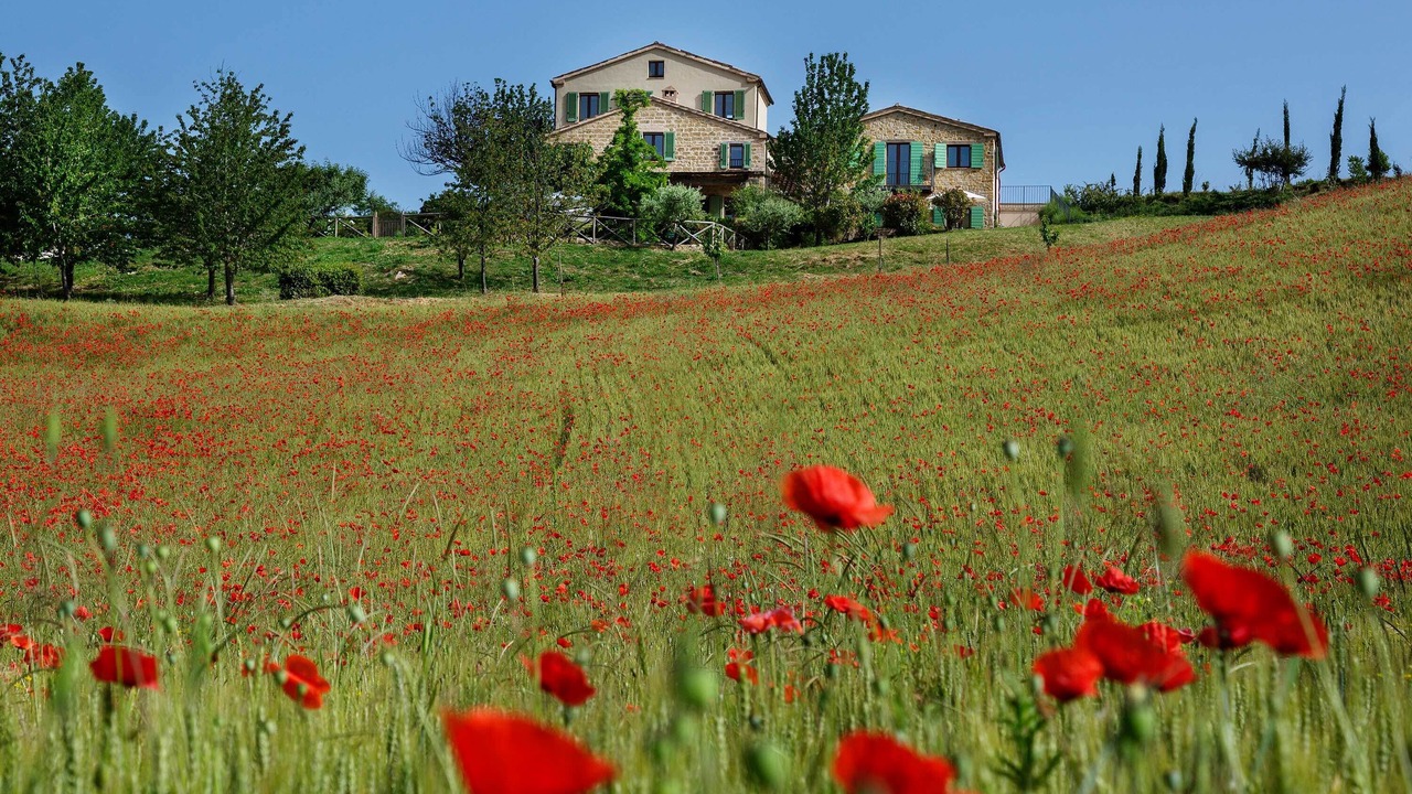 Photo of Others in Monte San Martino