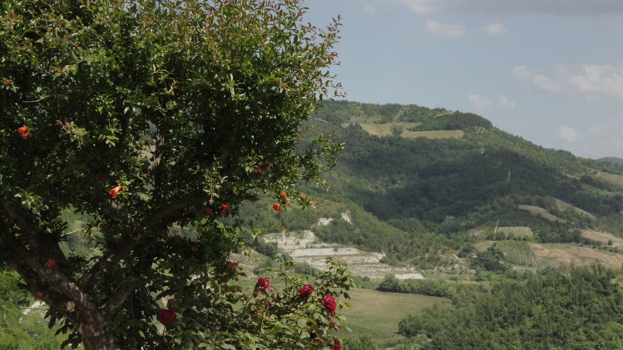 Photo of Outdoor in Torrazza Coste