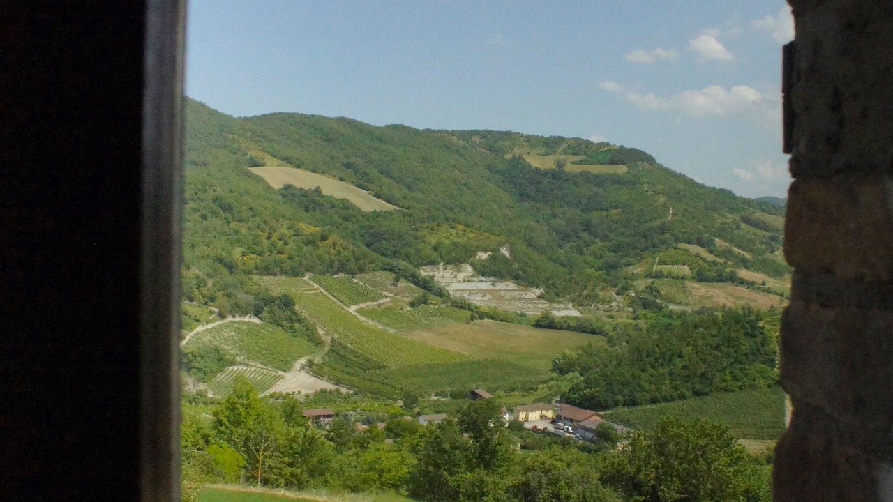 Photo of Others in Torrazza Coste
