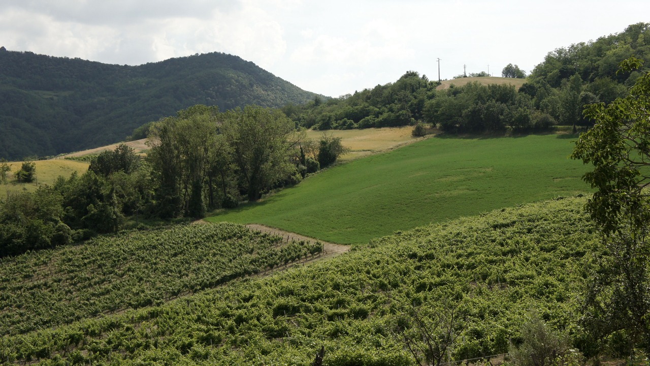 Photo of Others in Torrazza Coste