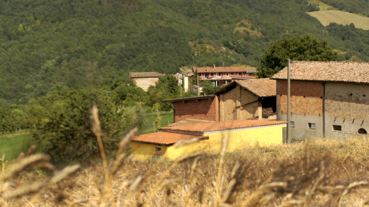 Photo of Outdoor in Torrazza Coste