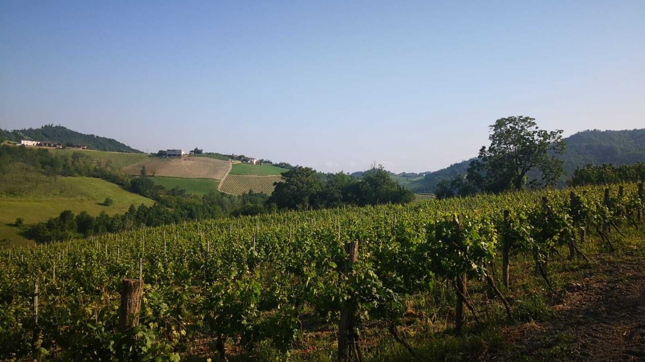 Photo of Outdoor in Torrazza Coste