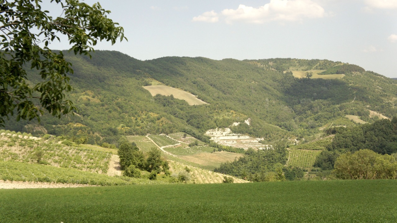 Photo of Others in Torrazza Coste