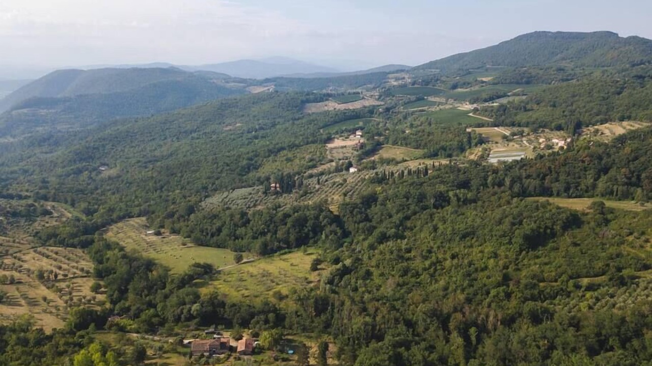 Photo of Others in Pontassieve