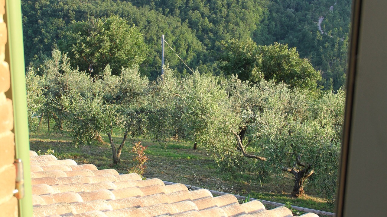 Photo of Others in Gualdo Cattaneo