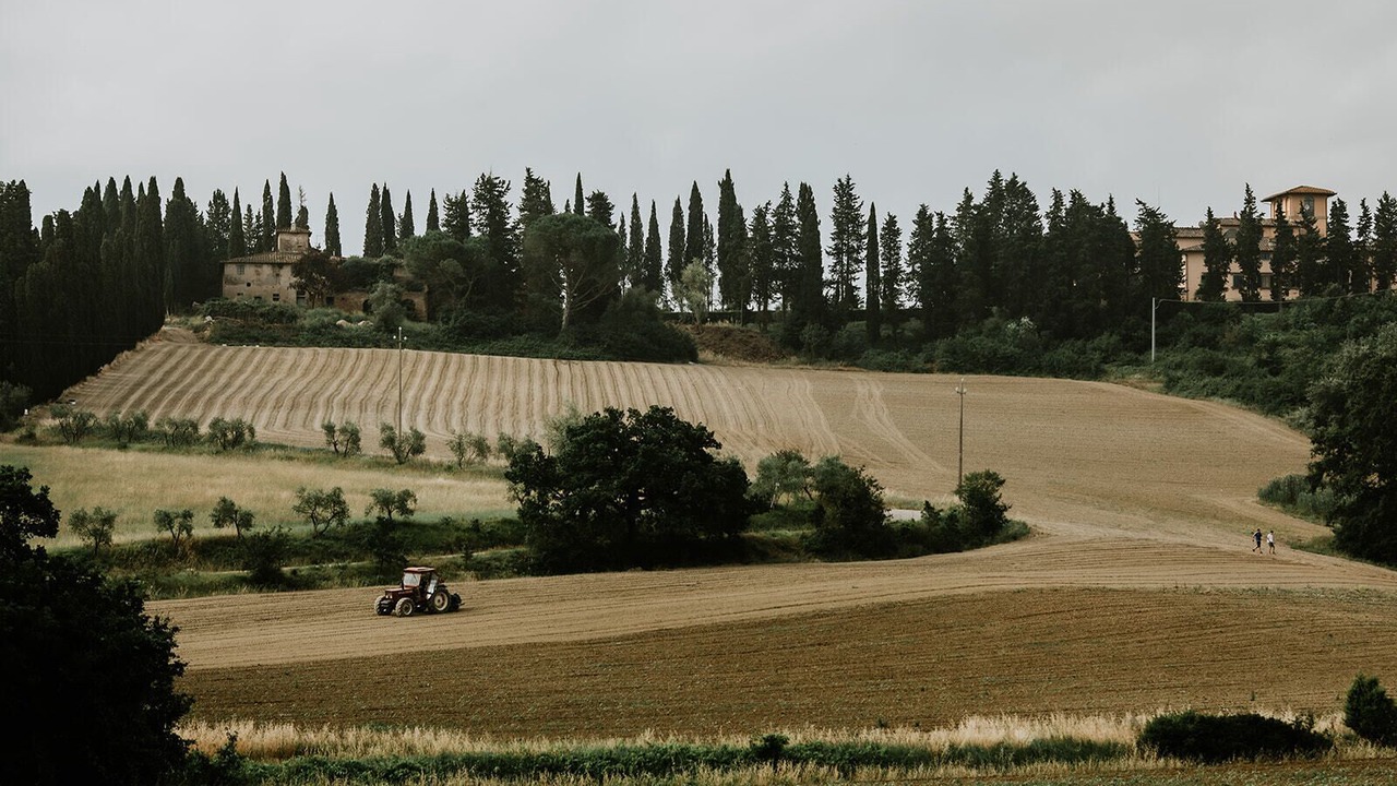 Photo of Others in Castelfiorentino