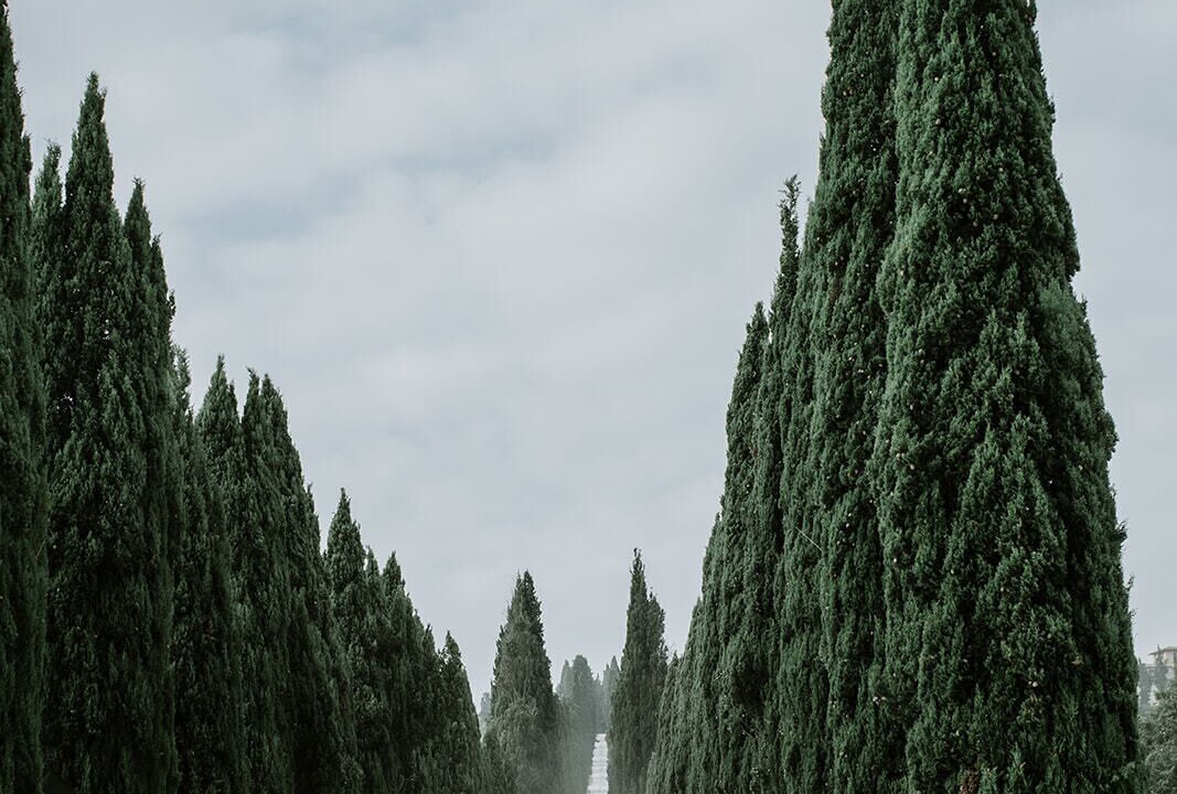 Photo of Outdoor in Castelfiorentino