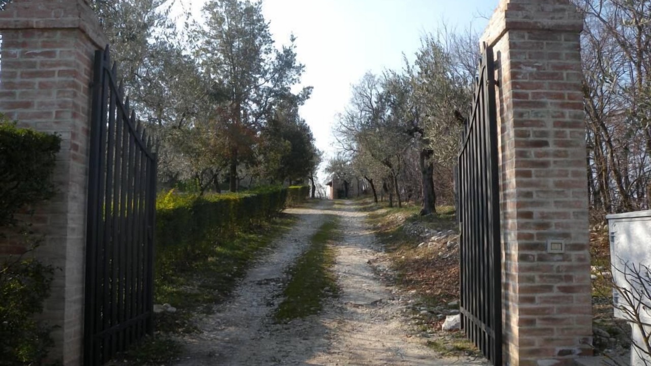 Photo of Others in Torricella in Sabina
