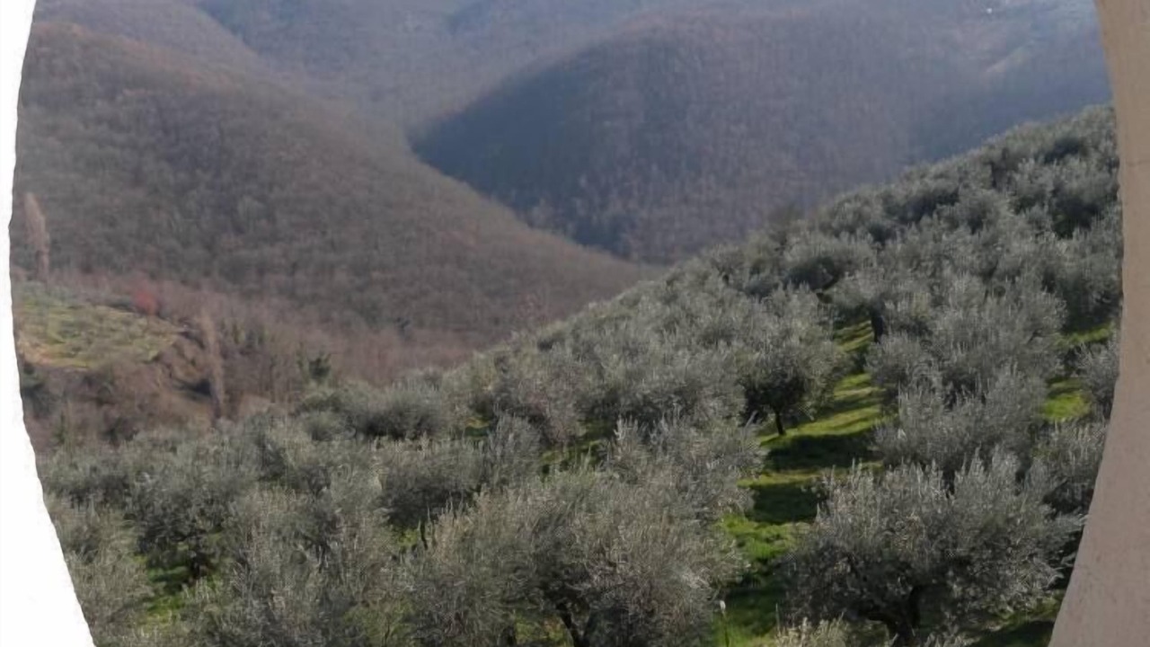 Photo of Others in Torricella in Sabina