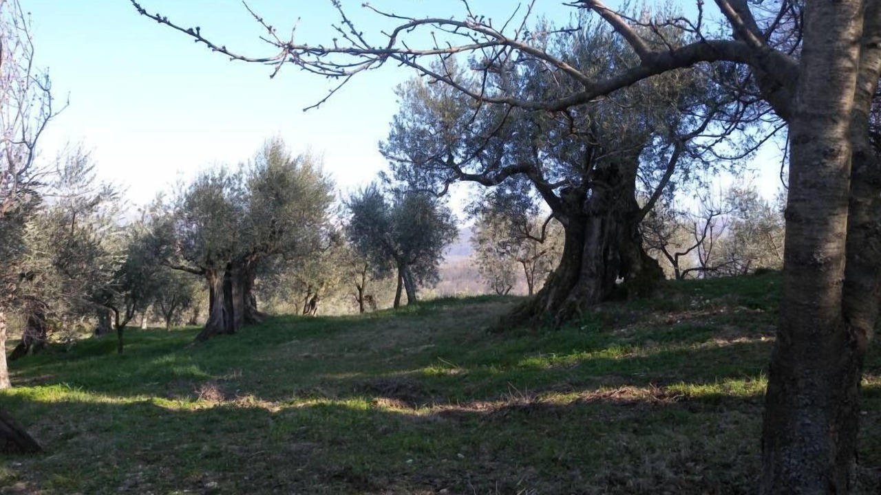 Photo of Outdoor in Torricella in Sabina