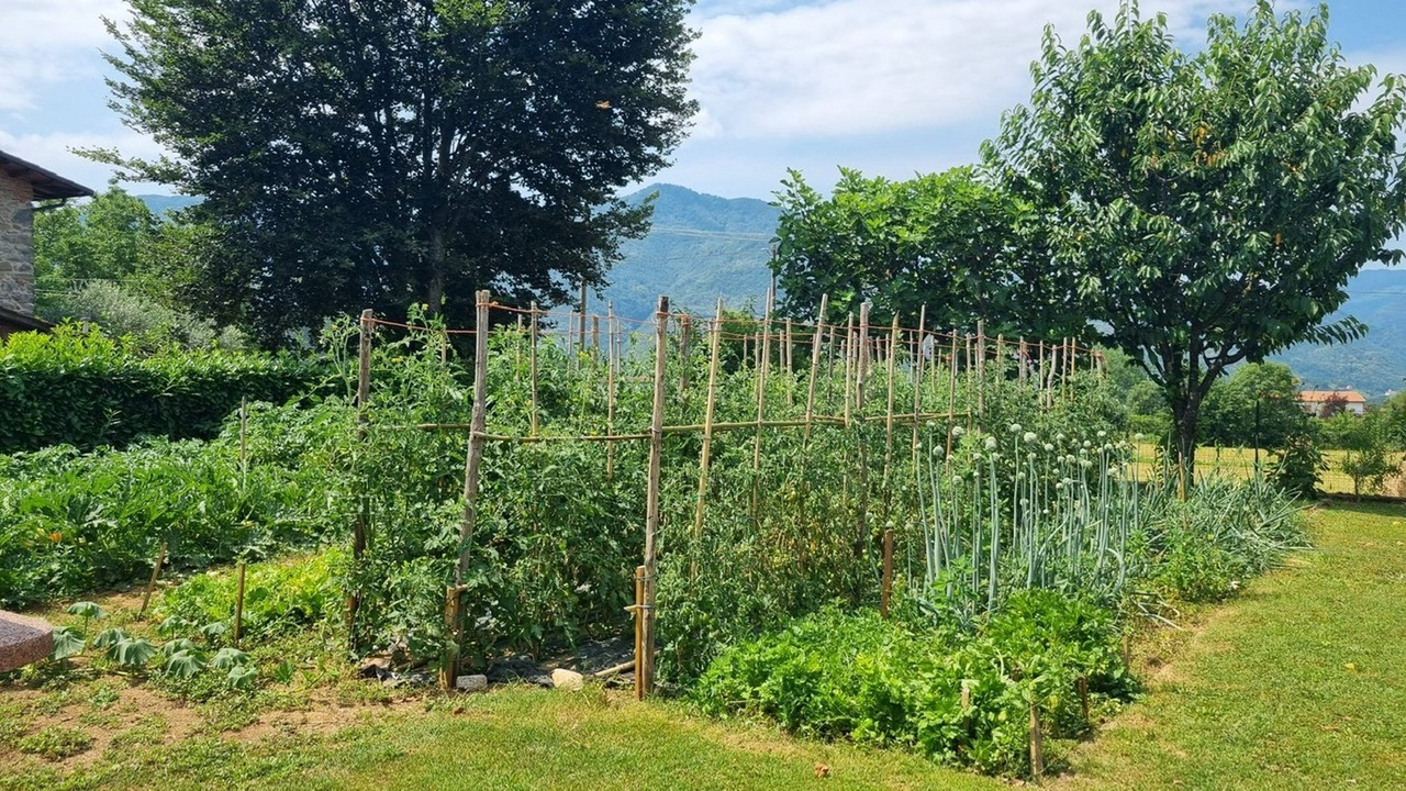 Photo of Outdoor in Mologno