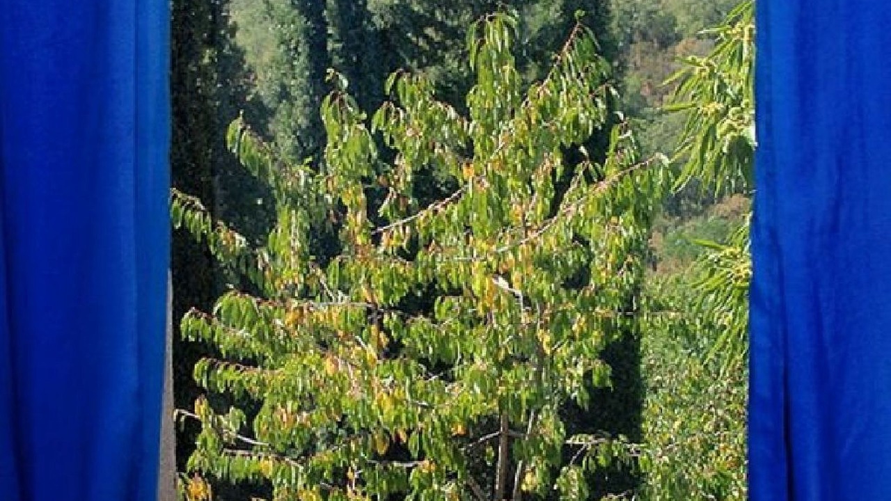 Photo of Others in Scansano