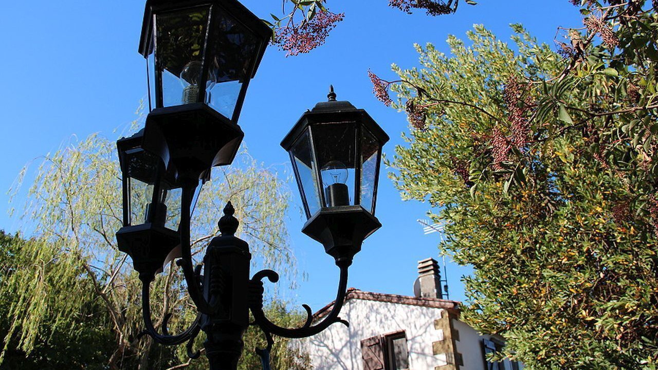 Photo of Outdoor in Scansano