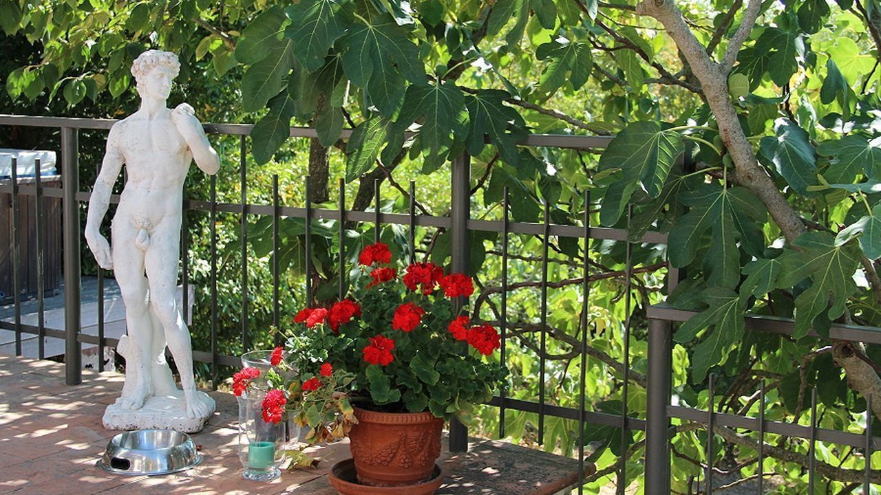 Photo of Outdoor in Scansano