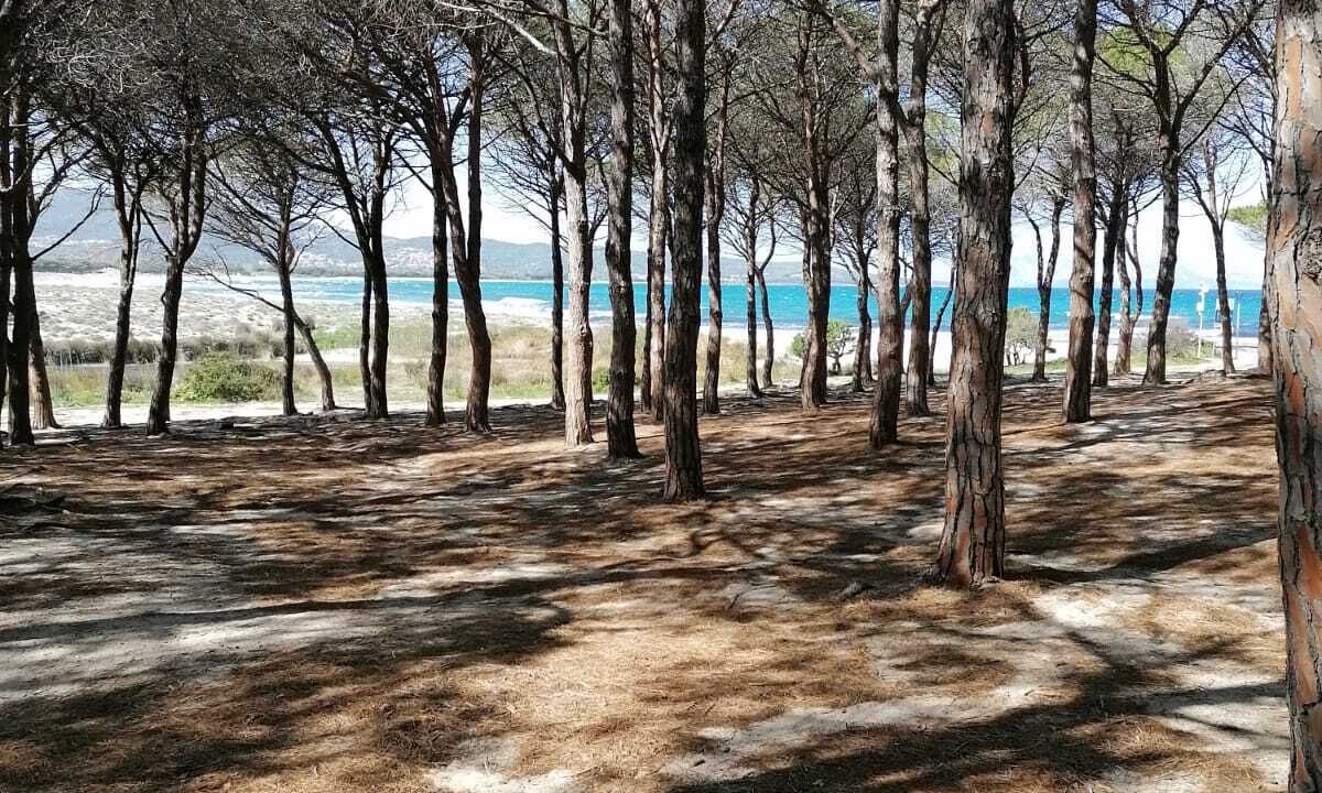 Photo of Others in Tanaunella