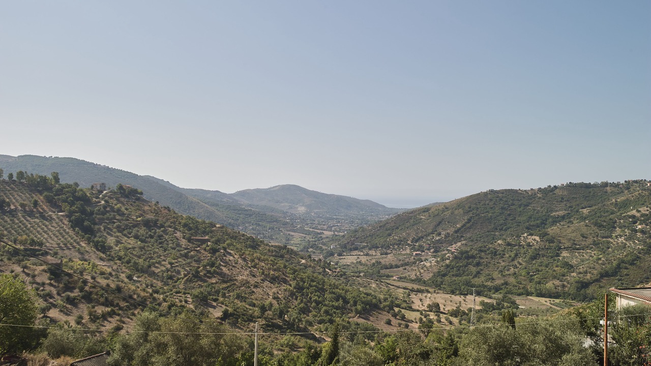 Photo of Others in Perdifumo