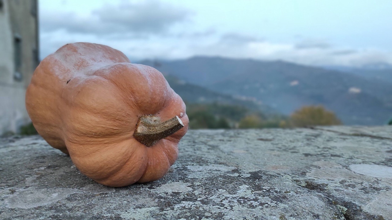 Photo of Others in Castelnuovo di Garfagnana
