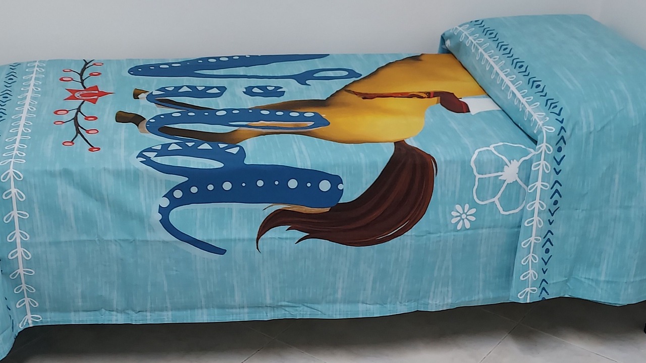 Photo of Bedroom in Matino