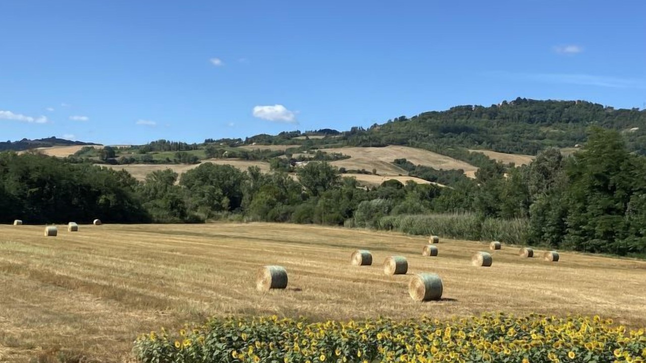 Photo of Others in Guardistallo