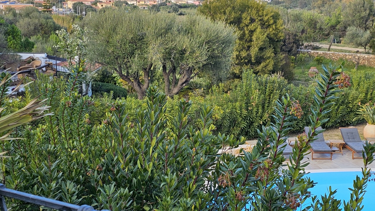 Photo of Outdoor in San Teodoro
