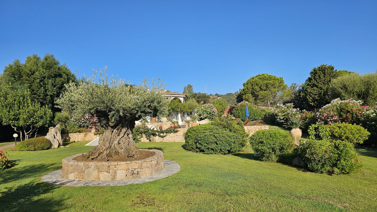 Photo of Outdoor in San Teodoro