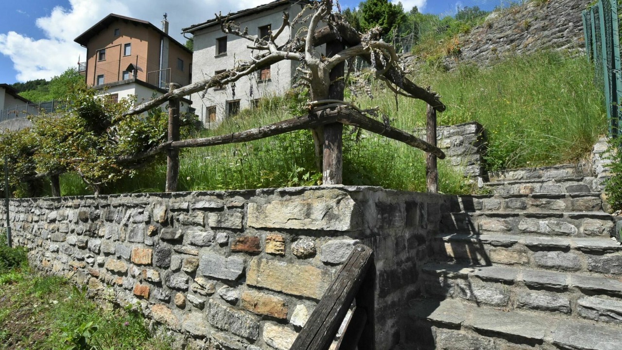 Photo of Others in San Giacomo Filippo