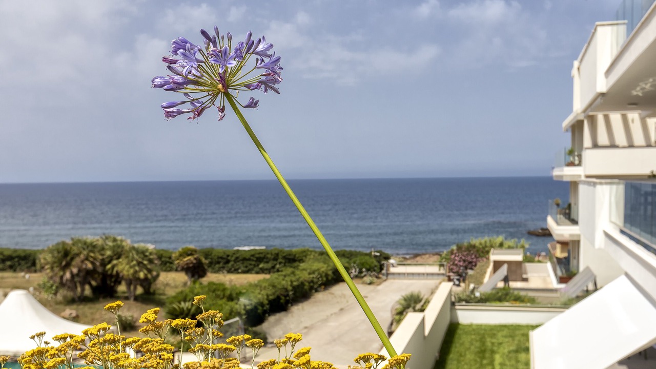 Photo of Others in Alghero