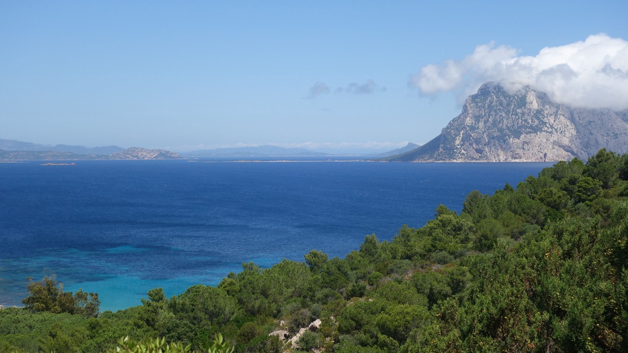 Photo of Others in Capo Coda Cavallo