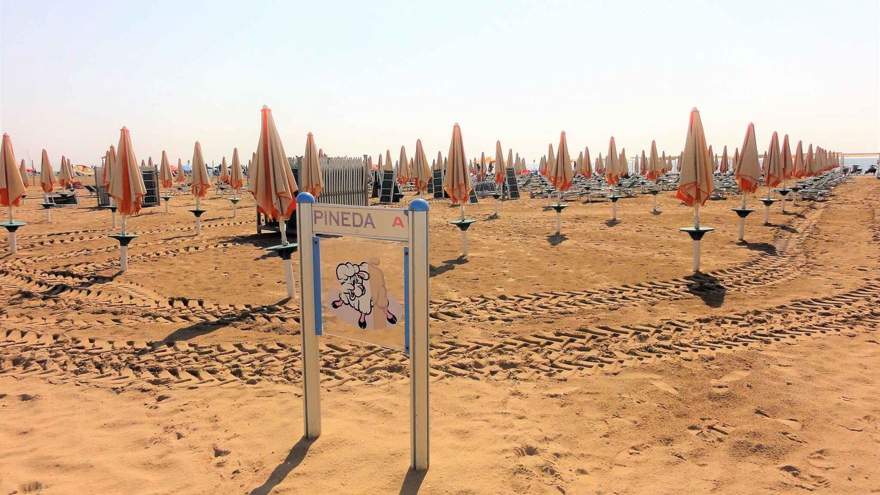 Photo of Others in Bibione Pineda