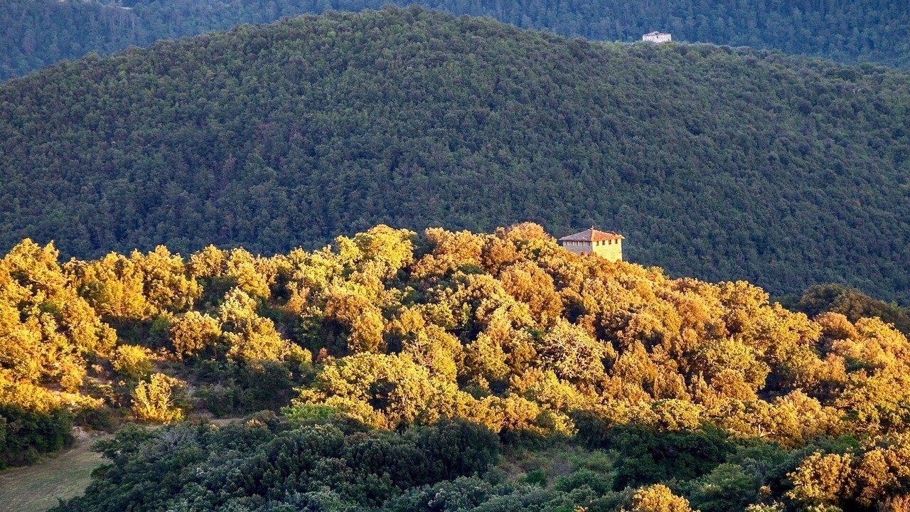 Photo of Others in Montelovesco