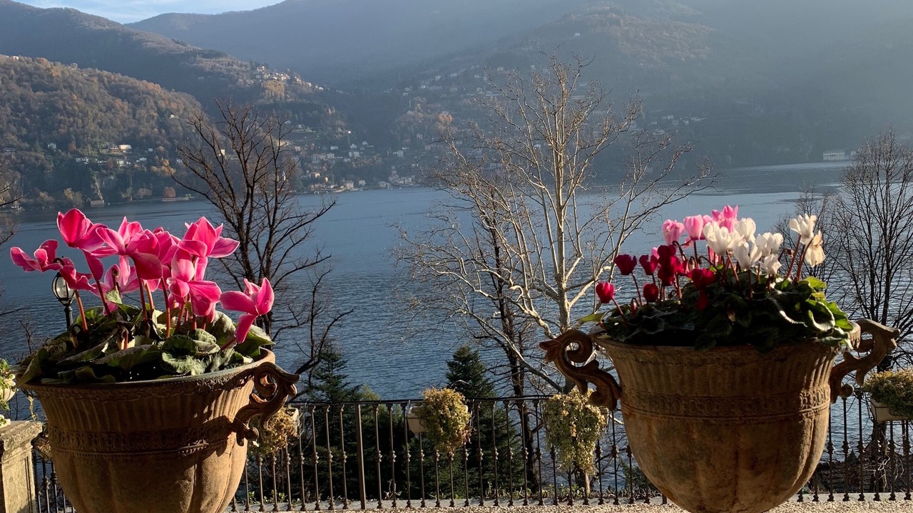 Photo of Others in Laglio