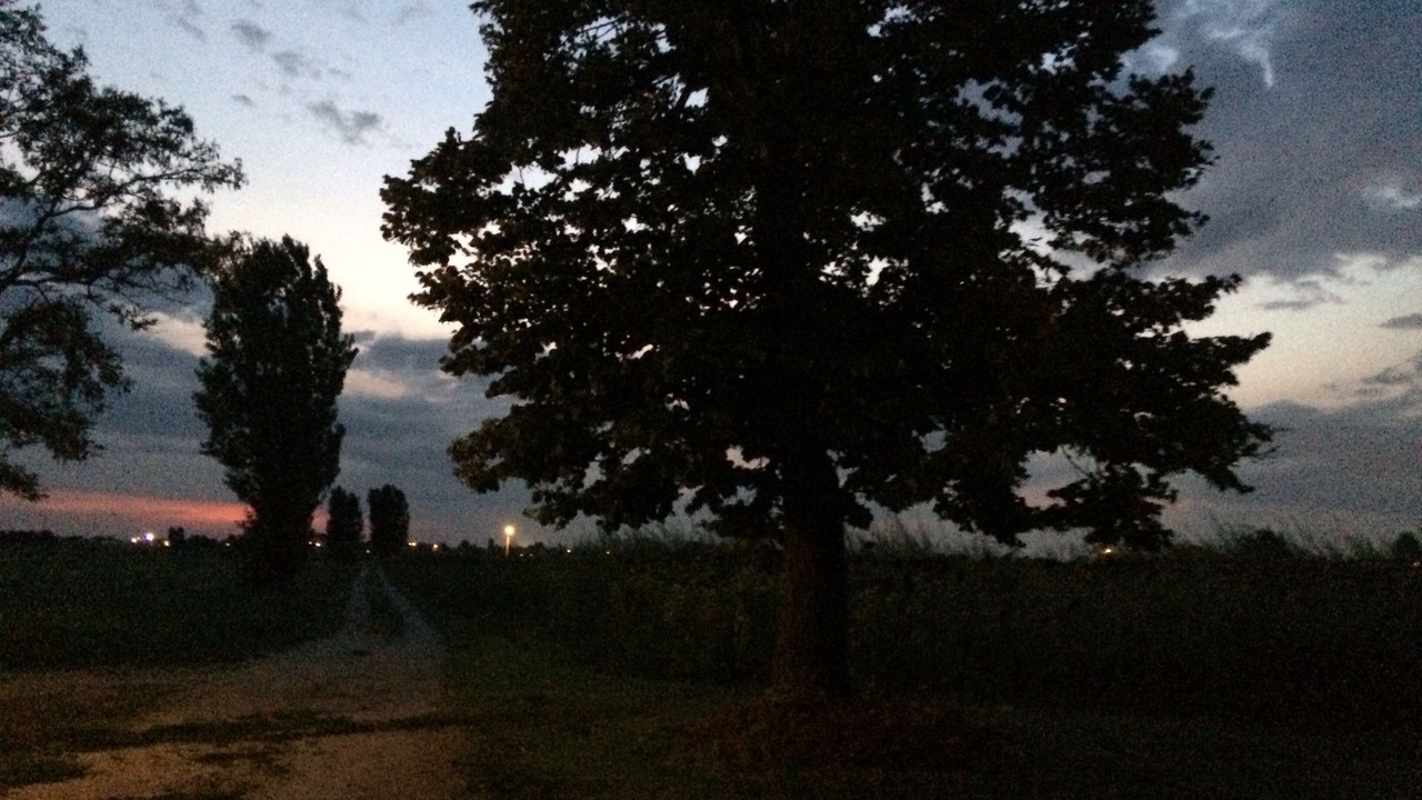 Photo of Outdoor in Correzzola