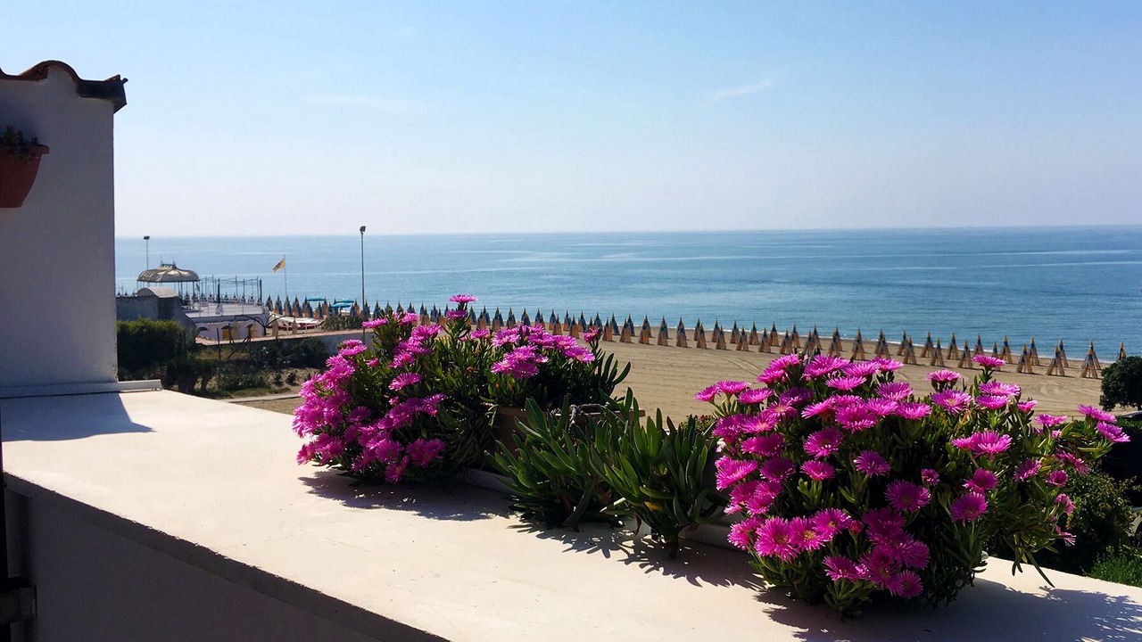 Photo of Outdoor in Latina Lido