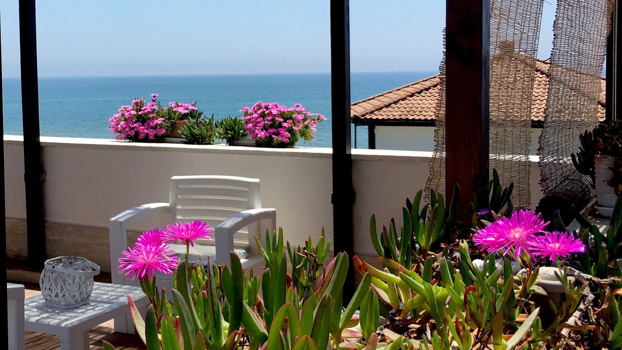 Photo of Patio Balcony in Latina Lido