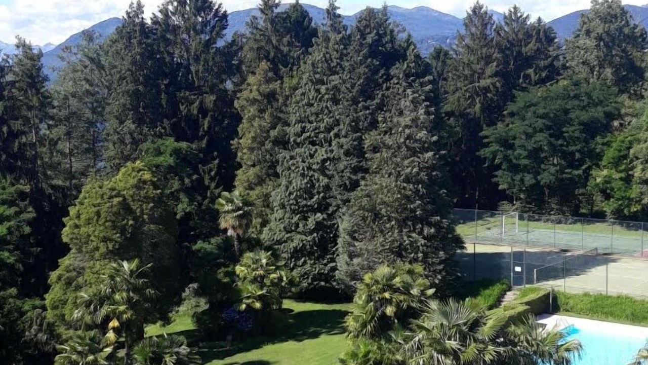 Photo of Outdoor in Germignaga