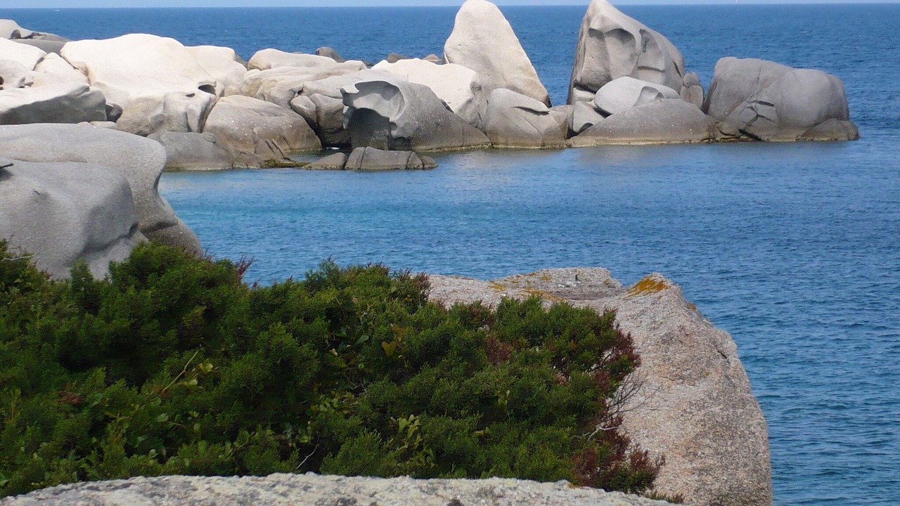Photo of Others in Santa Teresa di Gallura