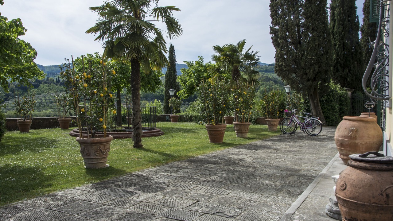 Photo of Outdoor in Saturnana