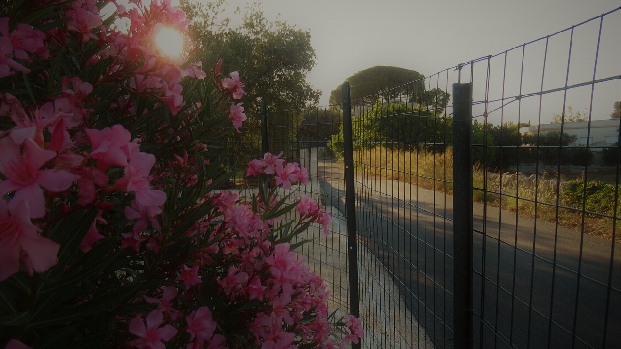 Photo of Outdoor in Monopoli