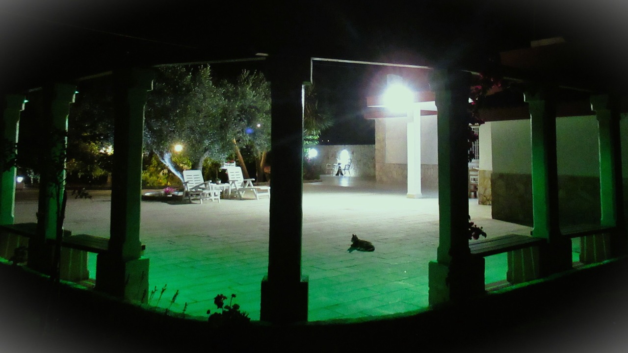 Photo of Patio Balcony in Monopoli